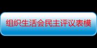 组织生活会民主评议表模板（什么是民主评议会）