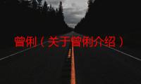 曾俐（关于曾俐介绍）