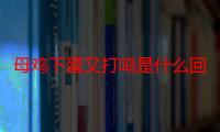 母鸡下蛋又打鸣是什么回事（为什么公鸡能打鸣,而母鸡只会下蛋）