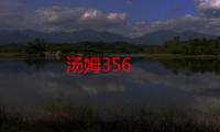 汤姆356