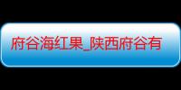 府谷海红果_陕西府谷有什么好吃的推荐嘛-美食特产