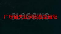 广东省失业保险基金省级统筹实施方案（关于广东省失业保险基金省级统筹实施方案介绍）