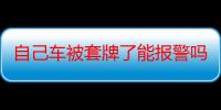 自己车被套牌了能报警吗 被别人套牌违章在外地能处理吗