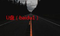 U盘（baidu1）